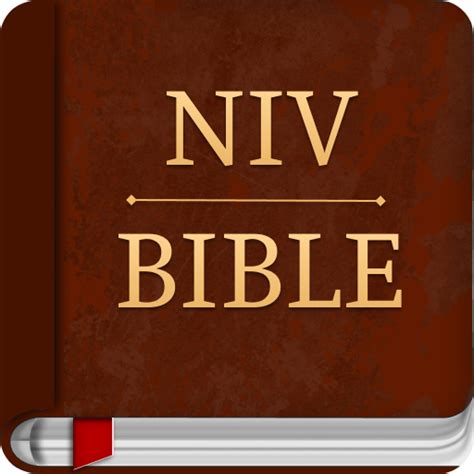 what does ntivb stand for|About the NIV Bible Translation .